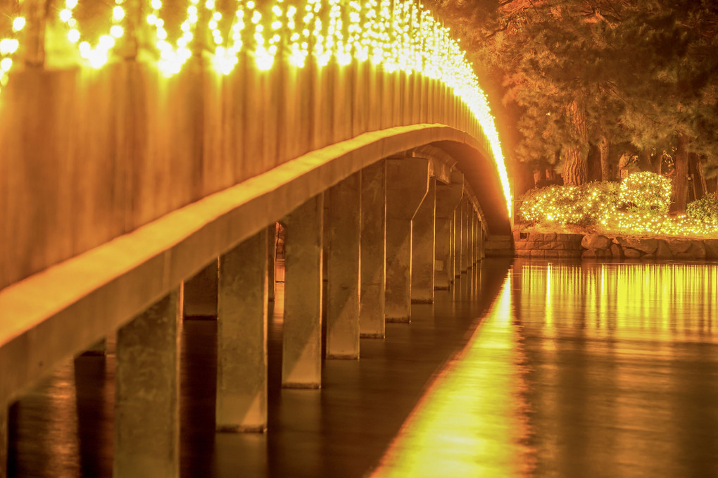 大濠公園夜景