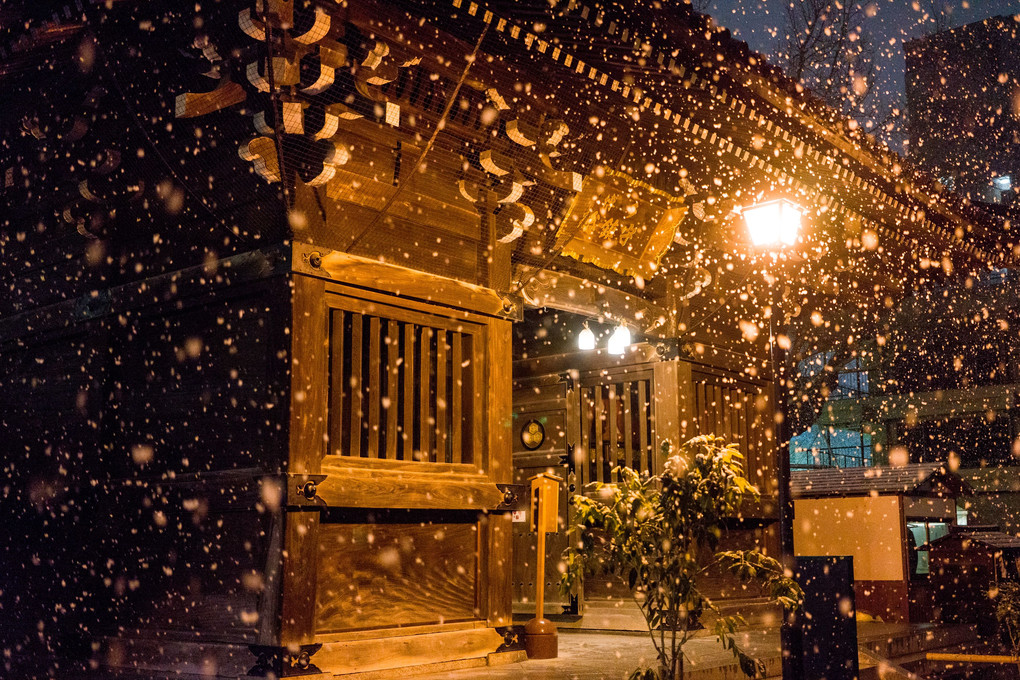 櫛田神社夜景雪景