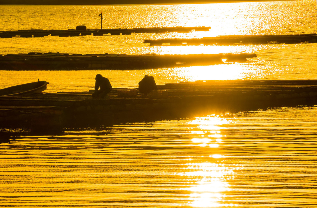 海辺の日常 夕景