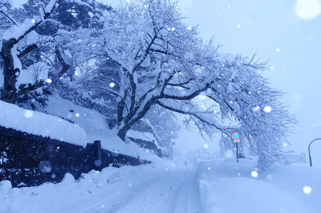 雪　雪　雪