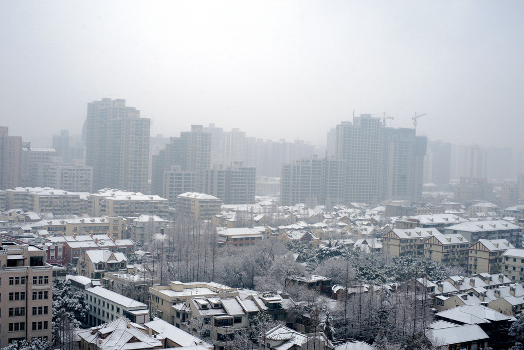 The White Shanghai