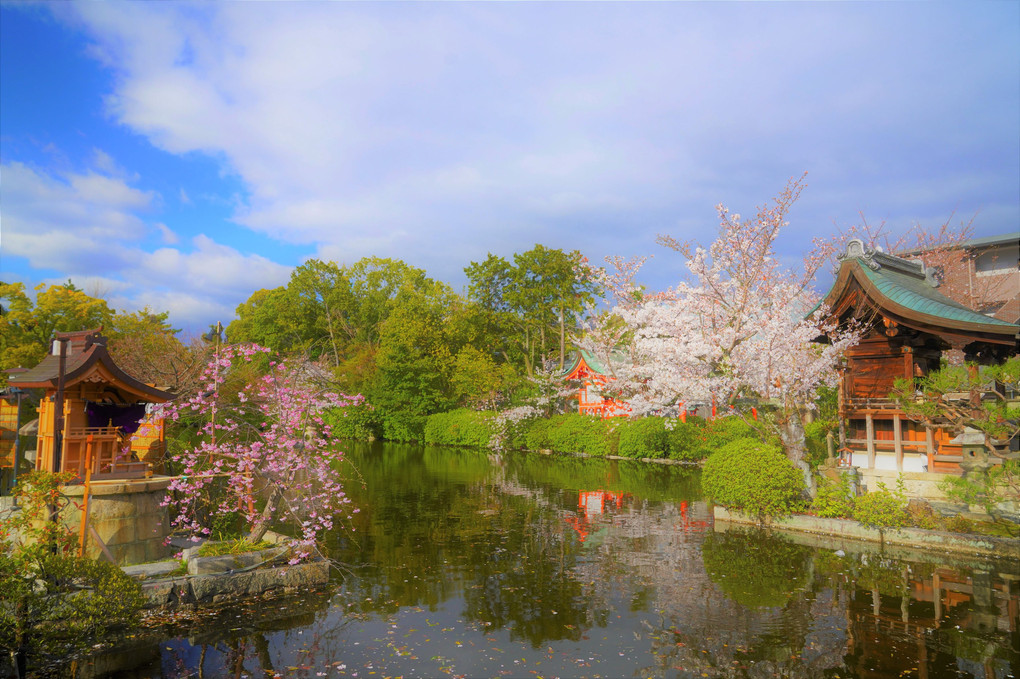 神泉苑の春