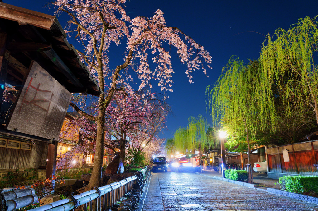 京都夜桜散歩🌸　其之参（３枚）