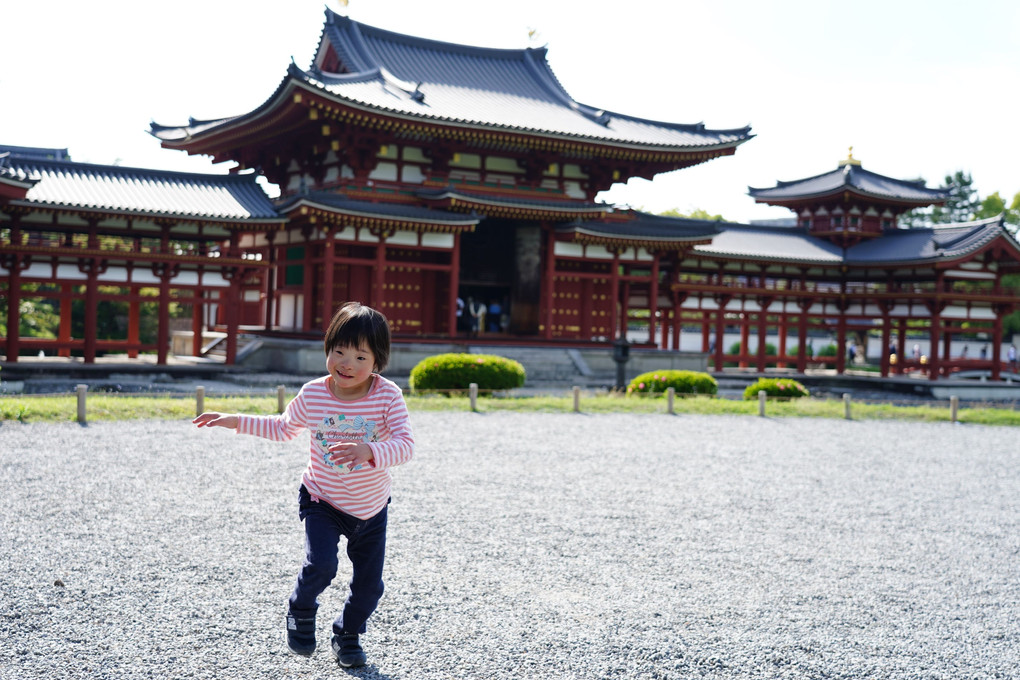 おちびと平等院