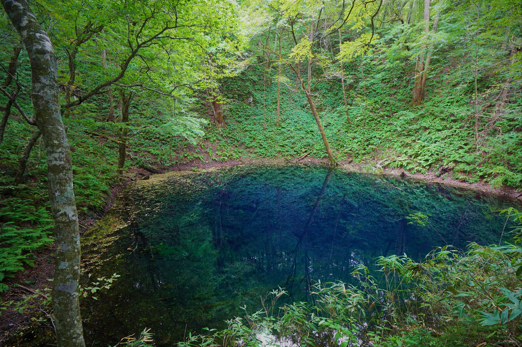 木霊の棲む池