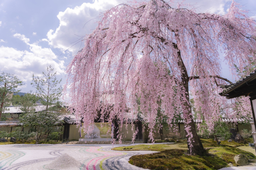 高台寺