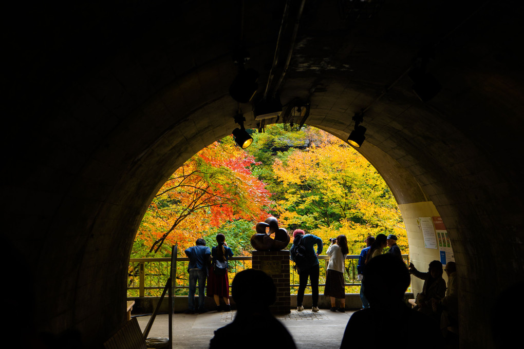 トンネルを抜けるとそこは秋だった