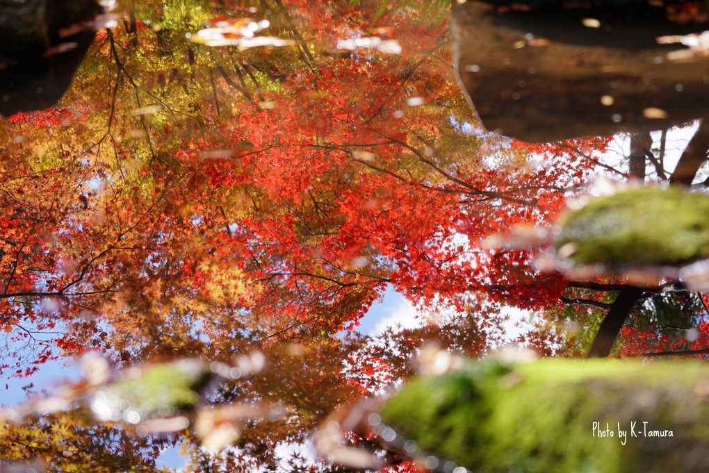 晩秋の紅葉と水鏡