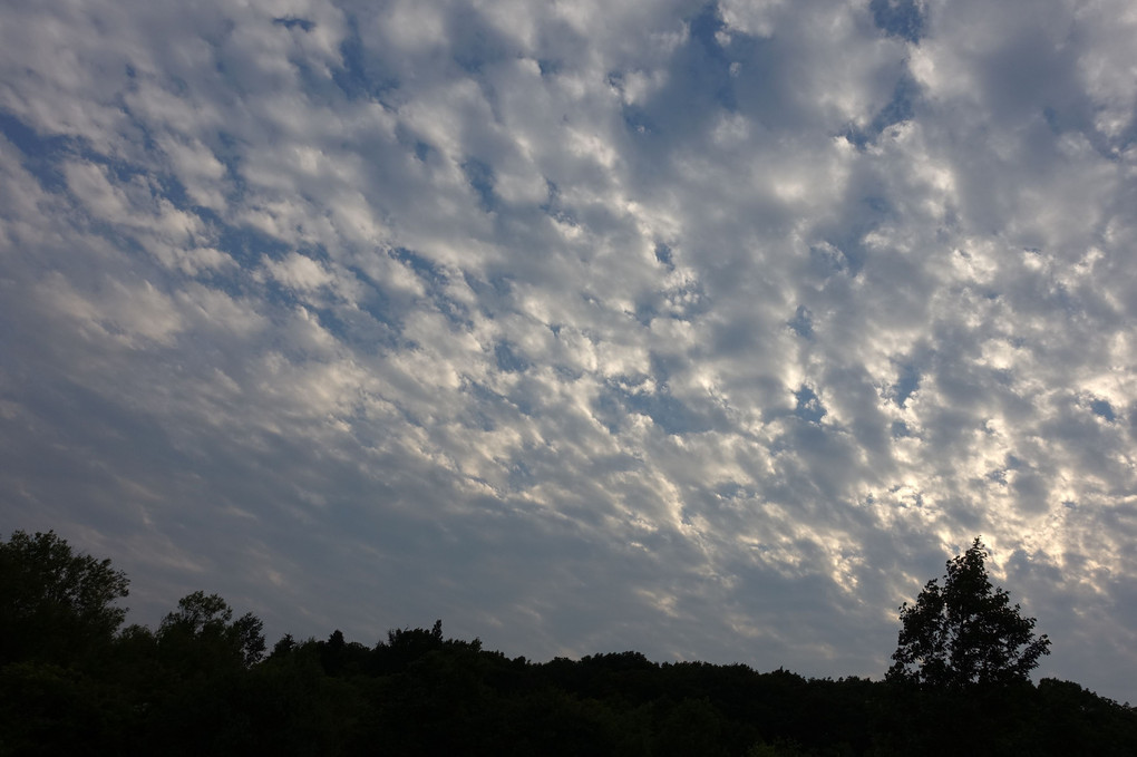 Sketch of summer sky (evening)