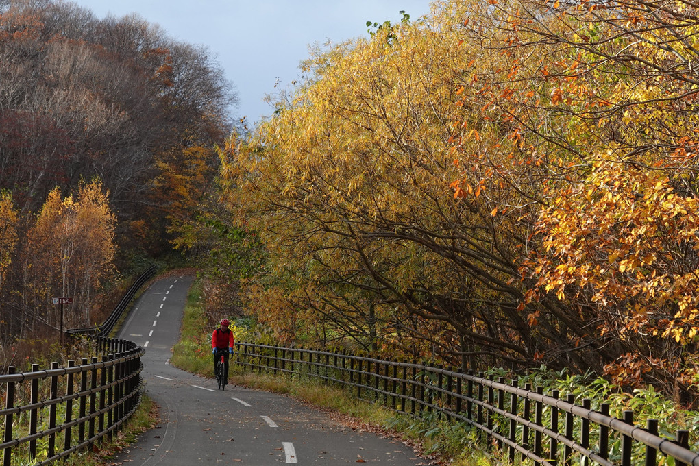 Autumn Cycling