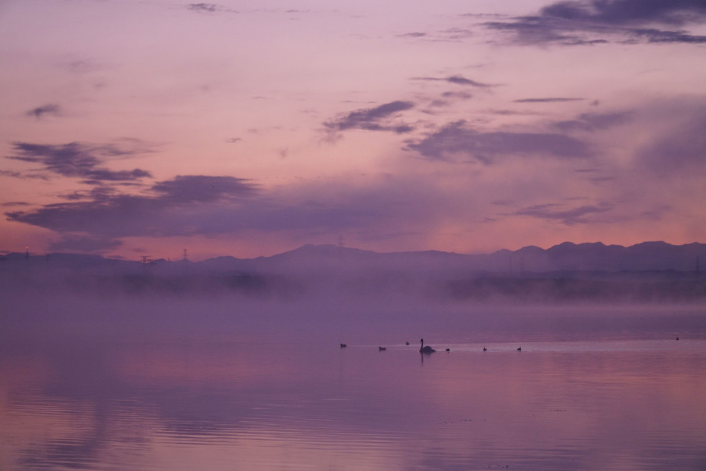 朝霧立つ湖