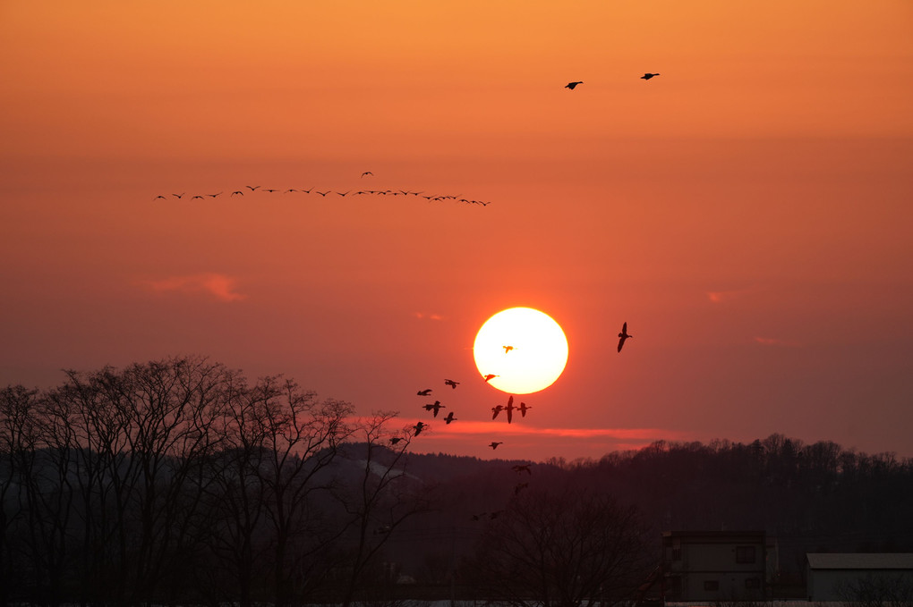 沼の夕暮れ