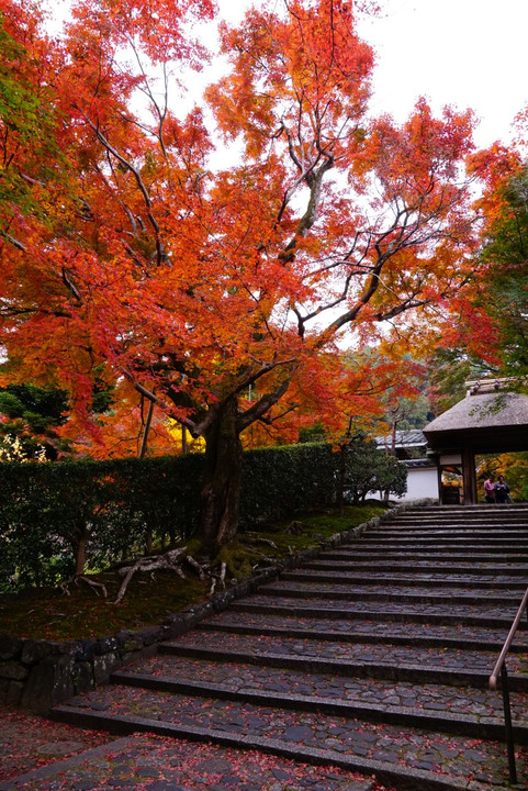 住蓮山安楽寺