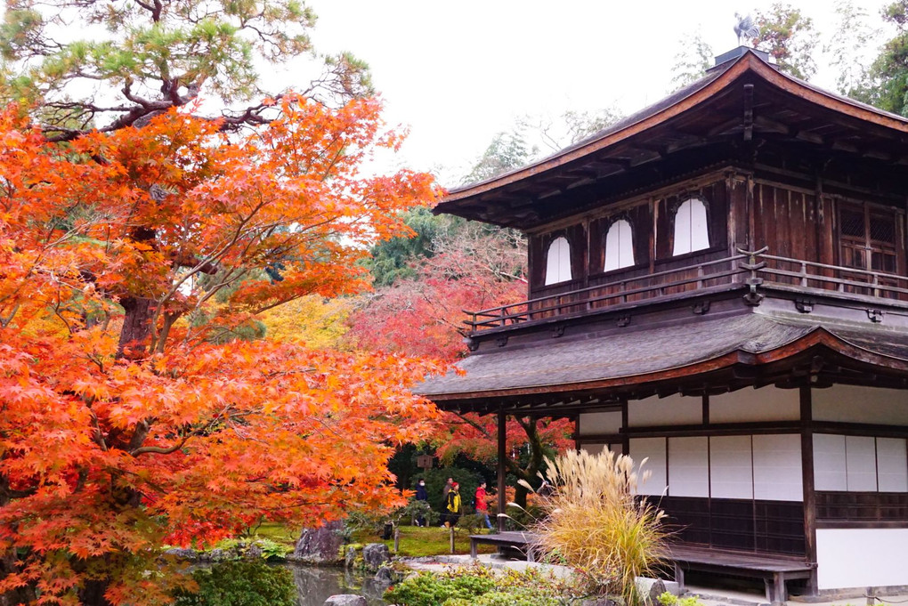 銀閣寺の秋
