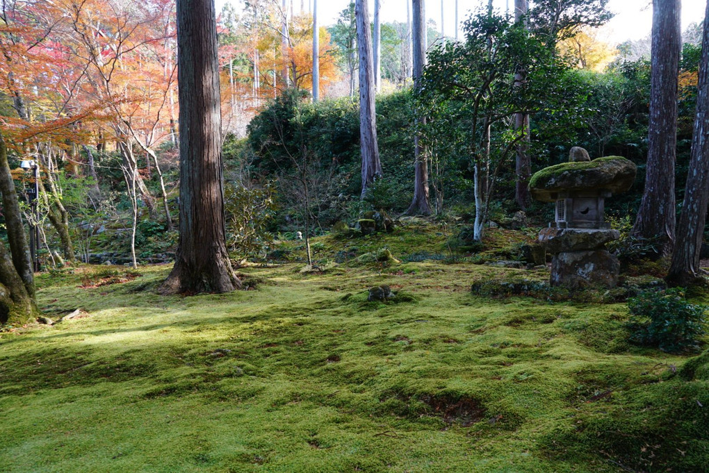 大原三千院