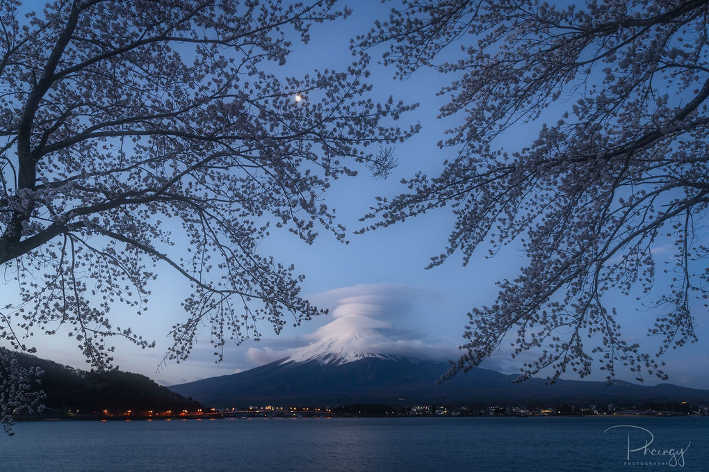 傘雲の富士山と桜