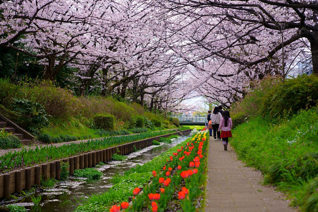 江川せせらぎ緑道・２０２２