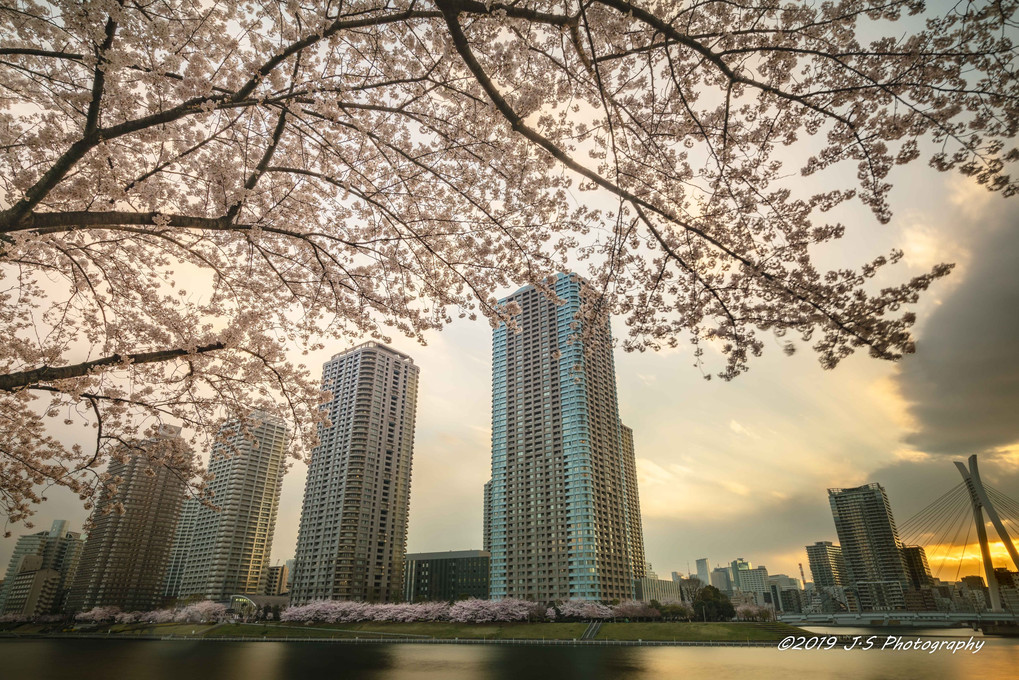 東京春夕景