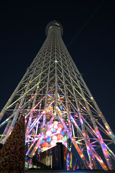 日本一高いクリスマスツリー
