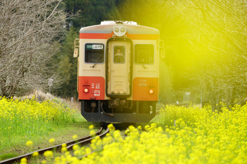 幸せの黄色い列車