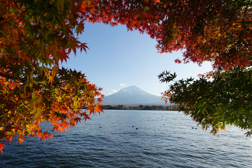 紅に染まる富士山