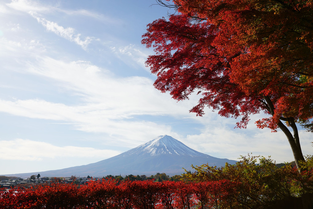 紅に染まる富士山