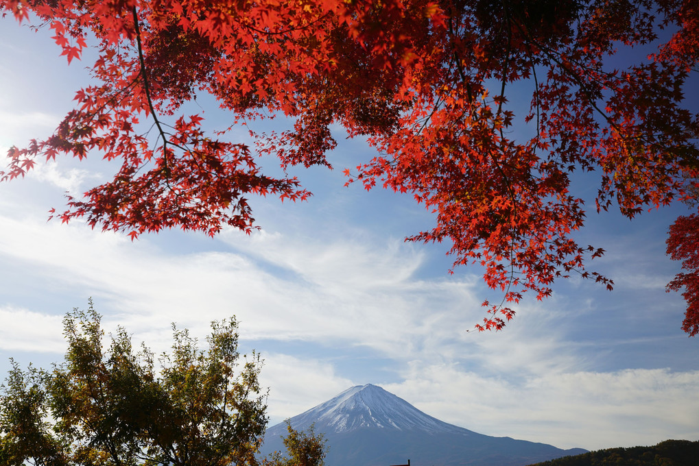 紅に染まる富士山