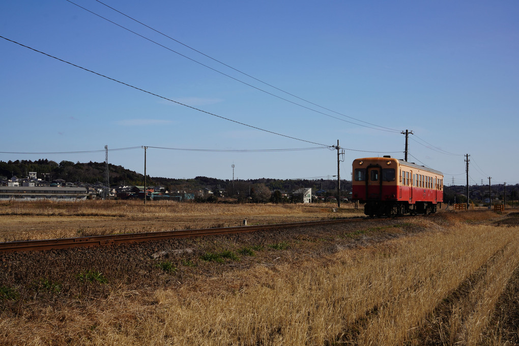 青空の下を走るノスタルジー列車