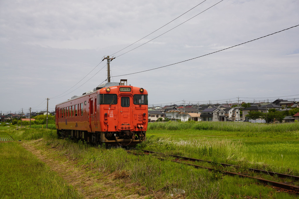 新緑の風を感じて♪