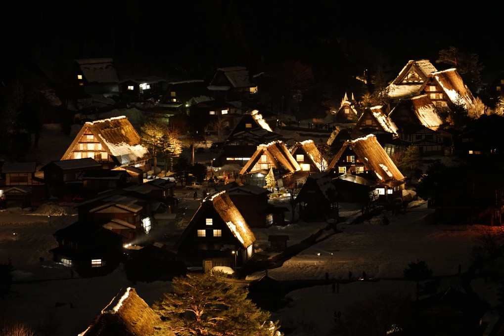 今年最後の煌きを求めて