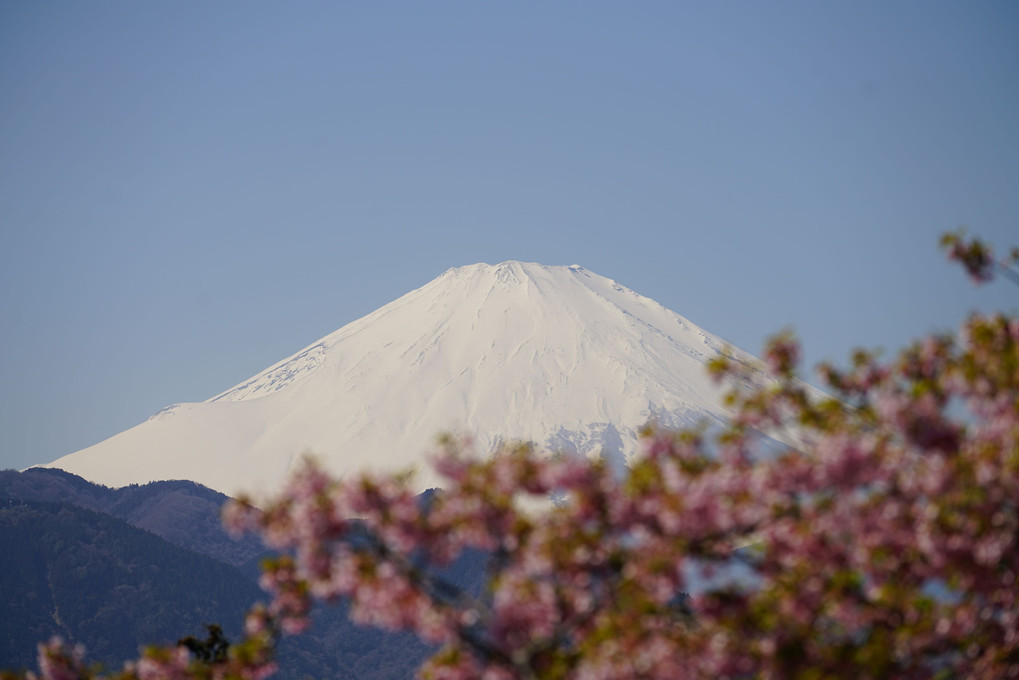 富士の高嶺に雪は降りつつ