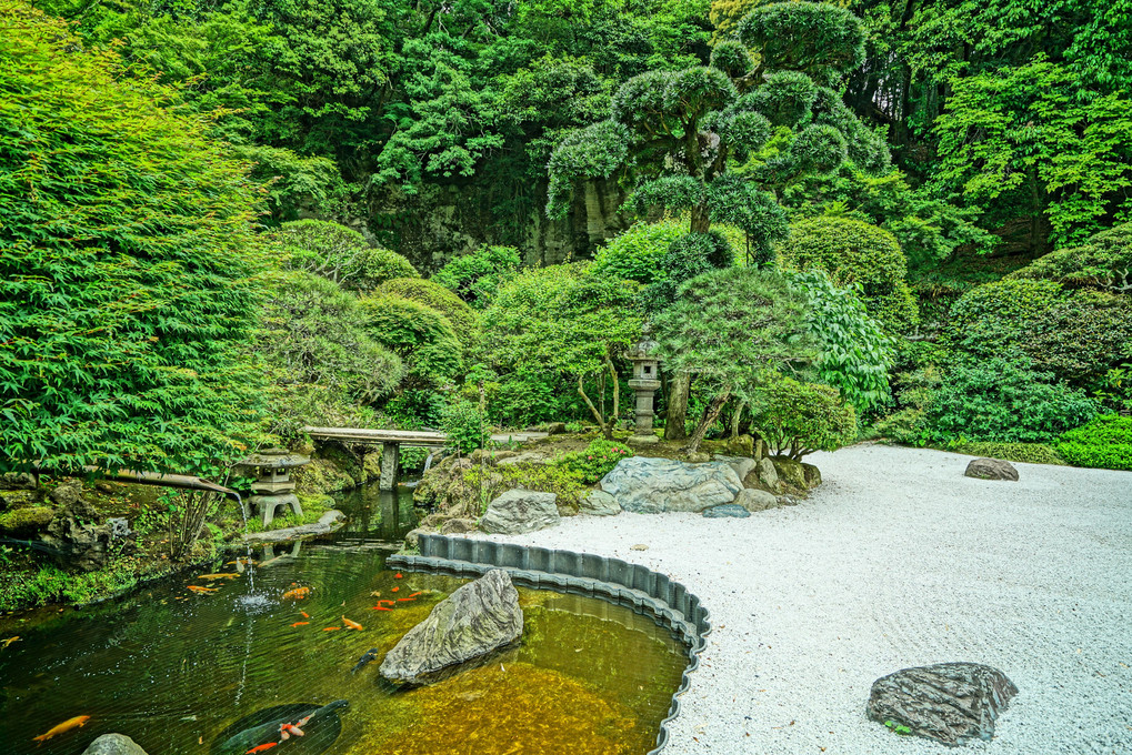 新緑の竹寺にて(2019年5月撮影)