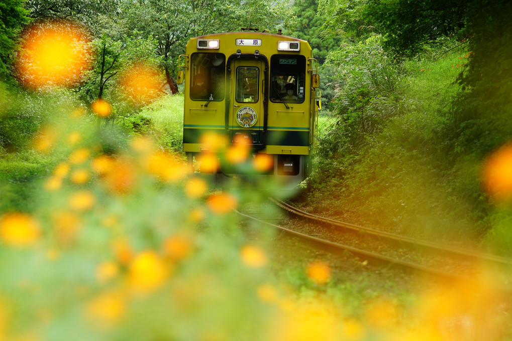 くま川鉄道にエールを