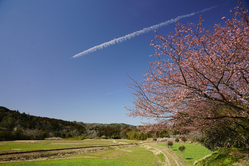 春のうららの里山で♪