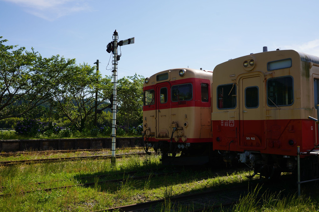 あじさい列車に会いたくて