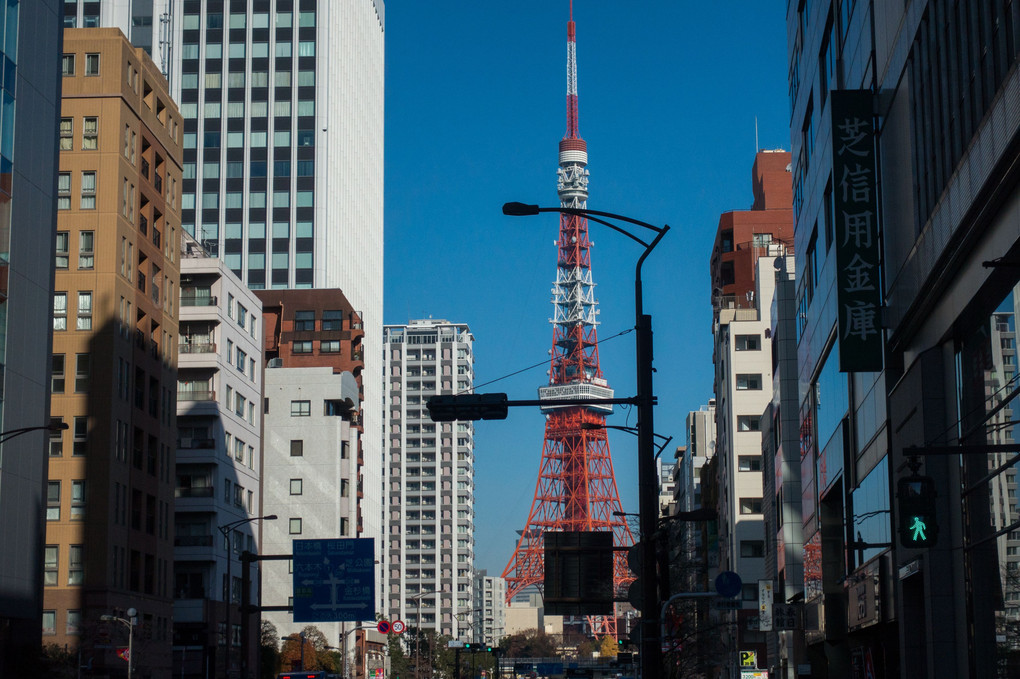 東京タワーと電柱