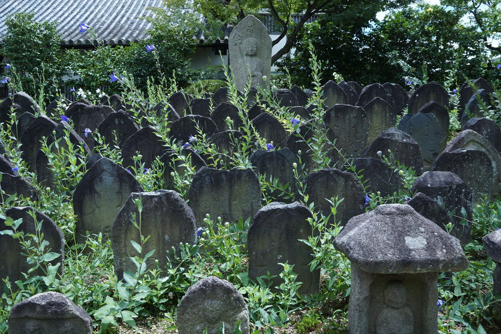 元興寺散策（奈良）