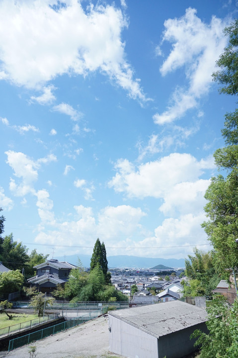 大神神社にて（2018年夏）