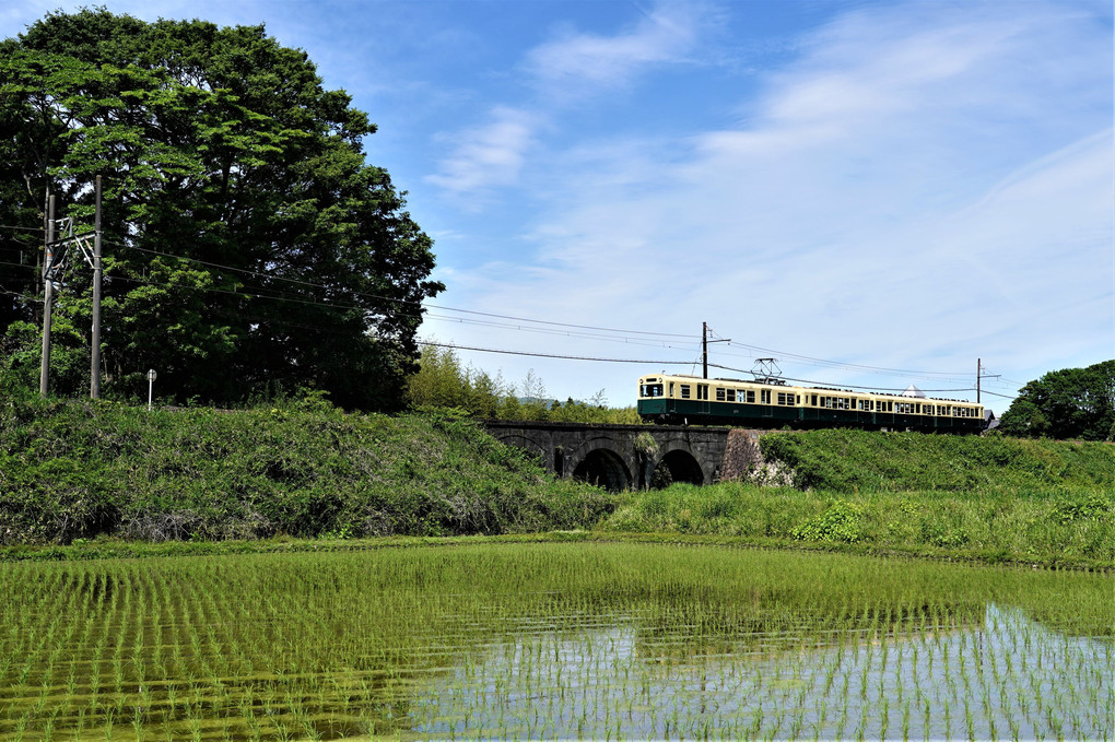 かわいい列車２