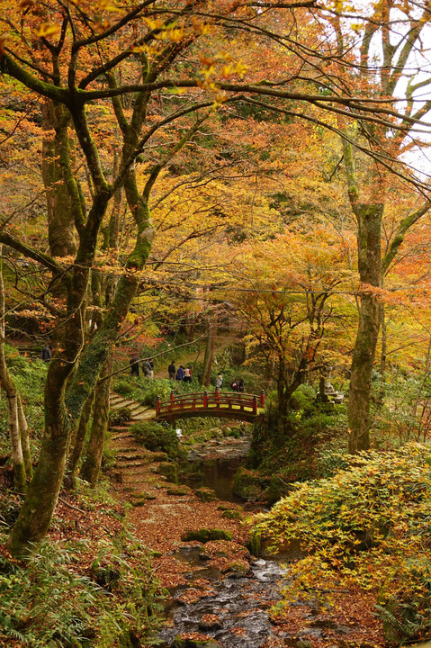 横蔵寺