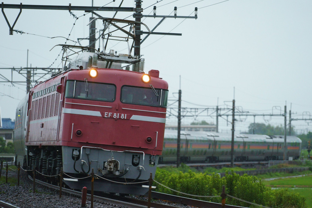 小雨降る薄暗い中、上野を目指すカシオペア回送列車！！