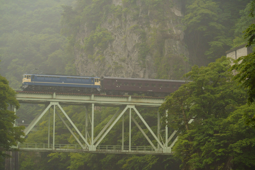 雨の綾戸渓谷を走るＥＬ訓練列車