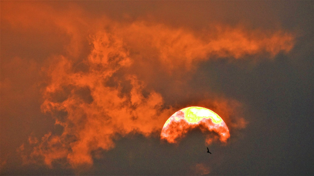 四季暦「夕立のあと」