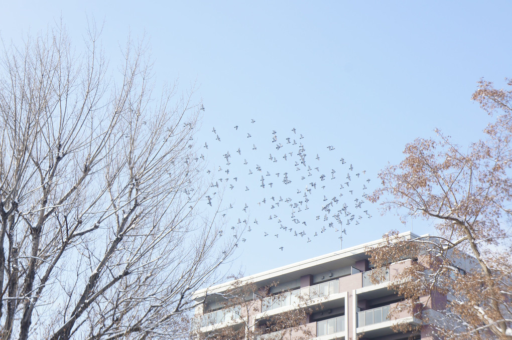 朝の空に