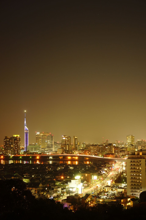 福岡タワーと夜景