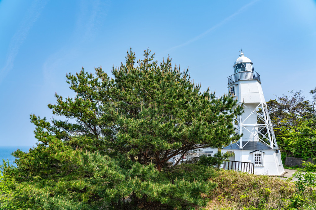 佐渡島