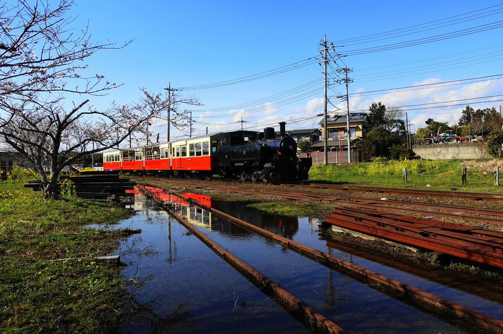 里山トロッコ映り化粧