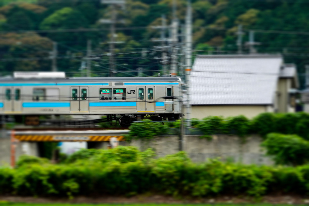 たま〜〜にＪＲ奈良線！