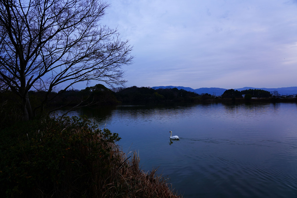 奈良市　水上池