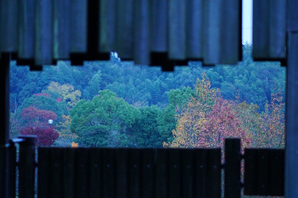 ロゴスランドのバンクバー砦から、秋の紅葉を望む(=^･^=)
